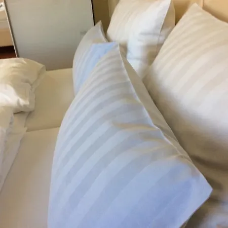 Hotel Homestead 3*